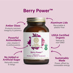 PURE SYNERGY Berry Power Organic Berry & Fruit Powder - 5.3 oz - image 3