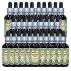 Herbal Terra LLC Ground Ivy (Glechoma hederacea) Tincture