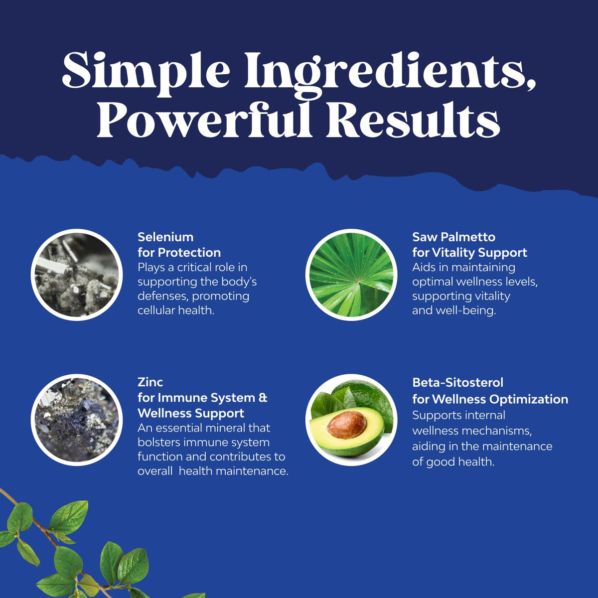 Natures Craft Saw Palmetto for Men with Beta Sitosterol