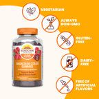 Sundown Magnesium Citrate Gummies Raspberry Flavored - 60 Count - image 4