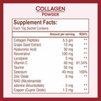 BIOTREX NUTRACEUTICALS Marine Collagen Powder - 15 Sachets - image 2
