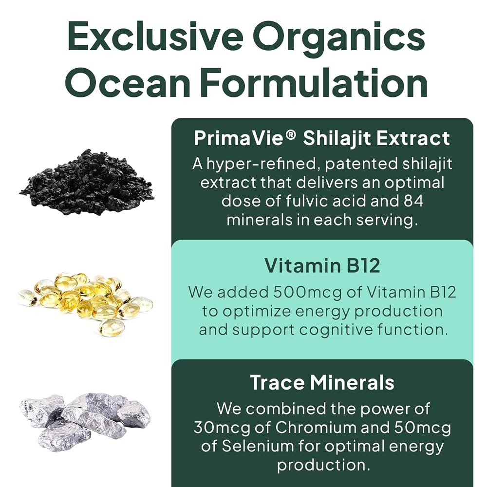 Organics Ocean Shilajit Gummies Pumpkin Cocoa - 60 Gummies - image 5