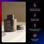 MitoQ Pure Advanced Mitochondria Supplement Superior Bioavailability
