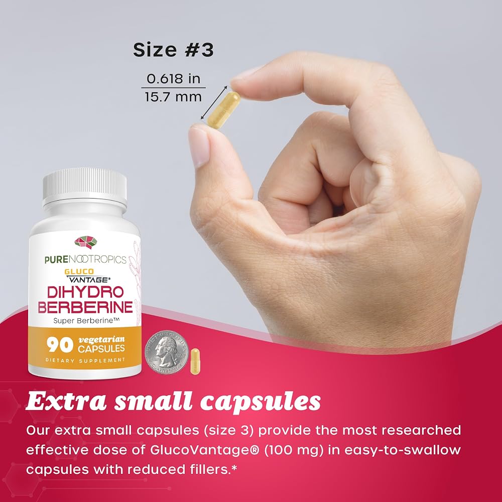 Pure Nootropics Dihydroberberine GlucoVantage 100 mg - 90 Capsules - image 6