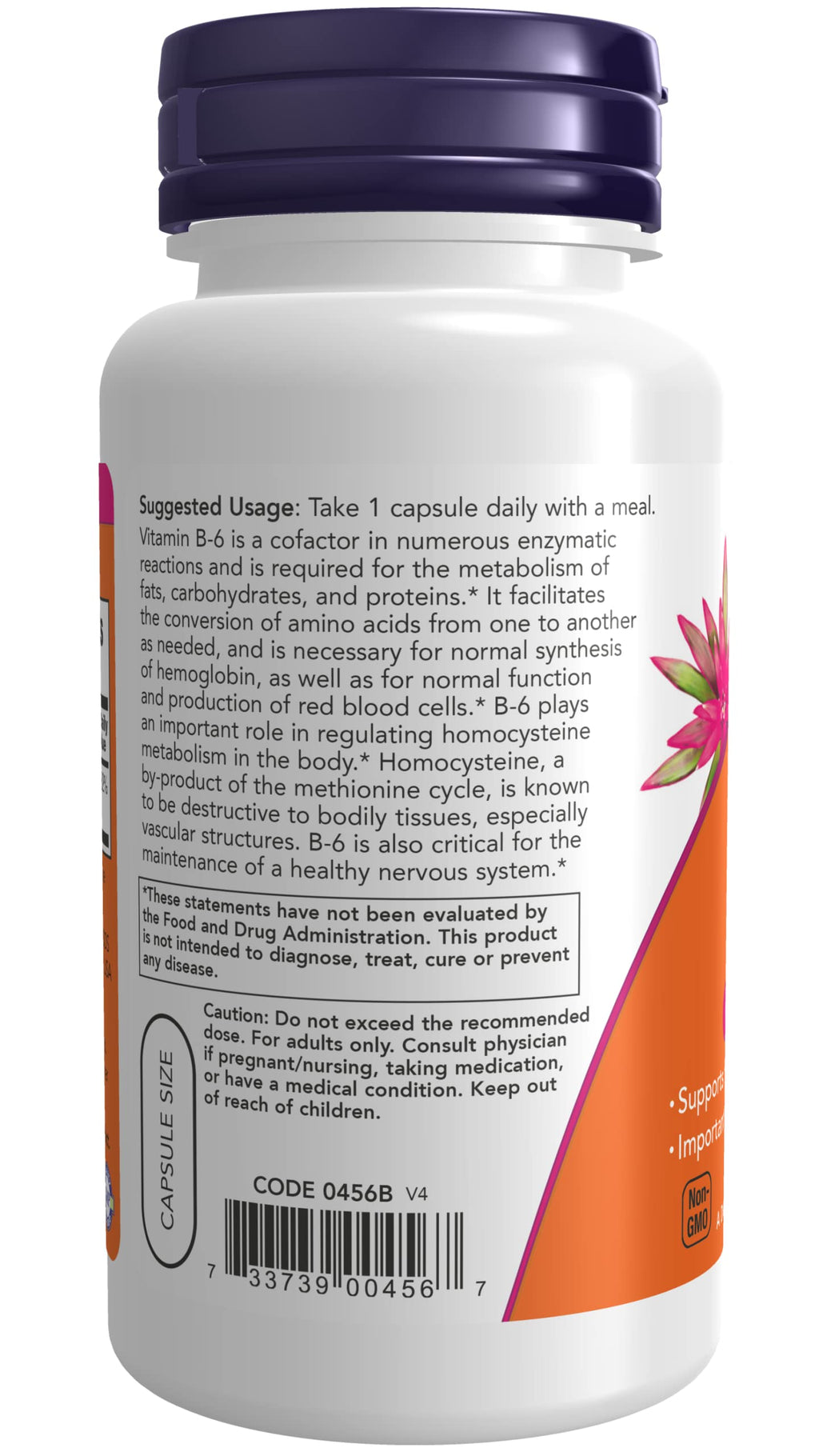 NOW Foods Vitamin B-6 100mg - 100 Capsules - image 3
