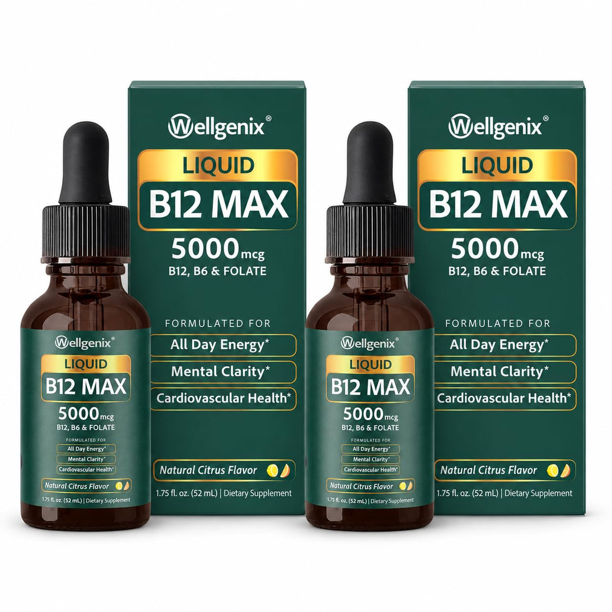 Wellgenix Liquid B12 MAX 5000mcg Methyl B12 with B6 & Folate - 2 Pack