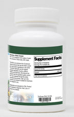 Terravita Squash Powder - 1 oz - image 2