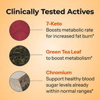HUM Ripped Rooster Green Tea Extract Metabolism Support - 60 Capsules - image 4