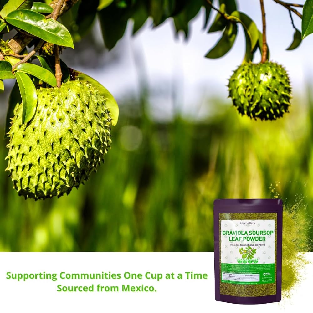 HERBALISTA Soursop Leaf Powder - 16 oz (453g) - image 5