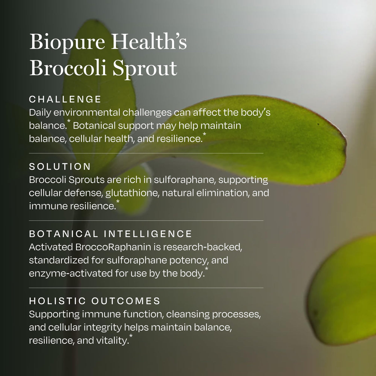 BioPure Broccoli Sprout Supplement Immune Support - 90 Capsules - image 4