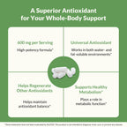 Natural Wellness Alpha Lipoic Acid 600 mg Antioxidant - 60 Capsules - image 5