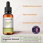 root + spring Sargassum Seaweed Herbal Tincture - 4 oz - image 7