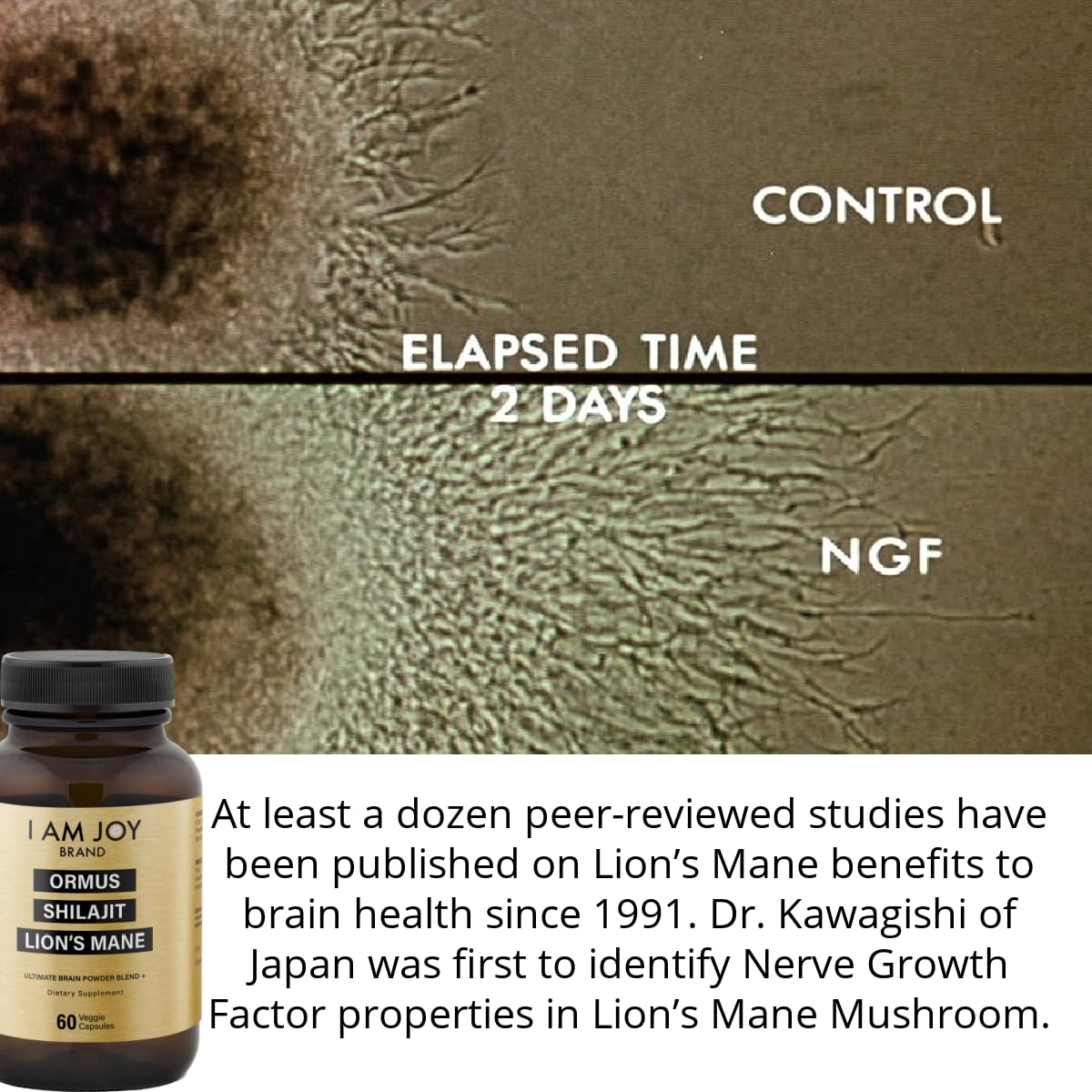 I Am Joy co. Ormus Shilajit Lion's Mane Brain Power - 60 Vegan Capsules - image 4