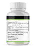 SEKHMETHERBS Lung Rejuve Herbal Powder - 60 Servings - image 2