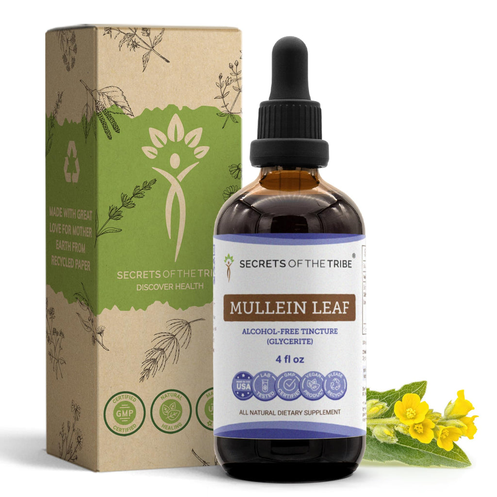 Secrets of the Tribe Mullein Leaf Tincture Alcohol-Free Liquid Extract