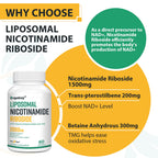 Orgabay Liposomal Nicotinamide Riboside 2000 MG with TMG
