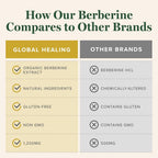 Global Healing Center Organic Berberine Supplement - 60 Capsules - image 2