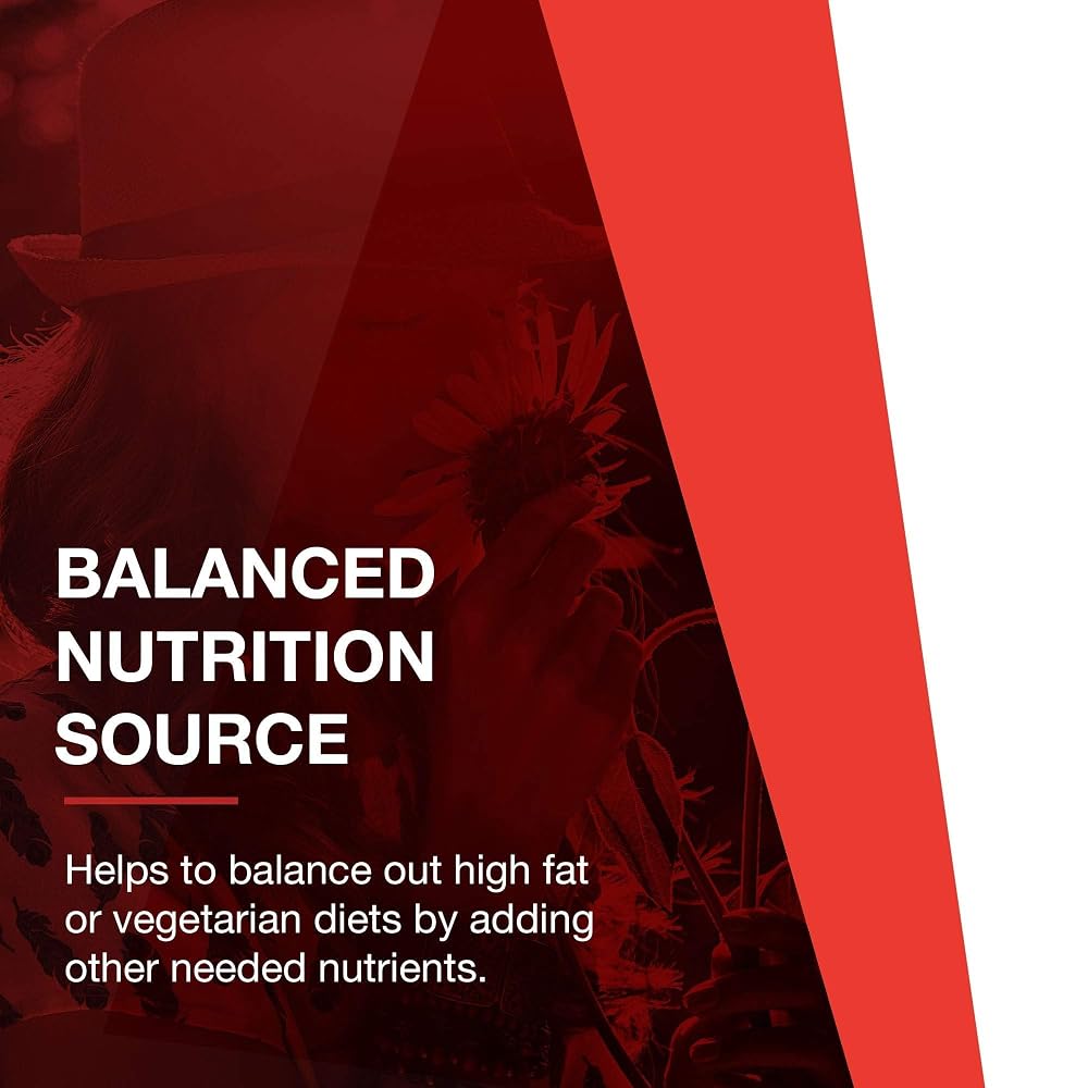 PROTOCOL FOR LIFE BALANCE L-Carnitine 500mg - 60 Vegetarian Capsules - image 8