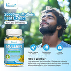 Vazatisi Sugar Free Mullein Gummies with Quercetin