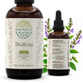 HerbEra Skullcap Alcohol-Free Herbal Extract Tincture
