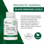 Plantonin Grape Seed Extract Plus Vegan Capsules - 60 Count - image 6