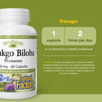 Natural Factors Ginkgo Biloba Phytosome Circulation Support - 60 Capsules - image 3