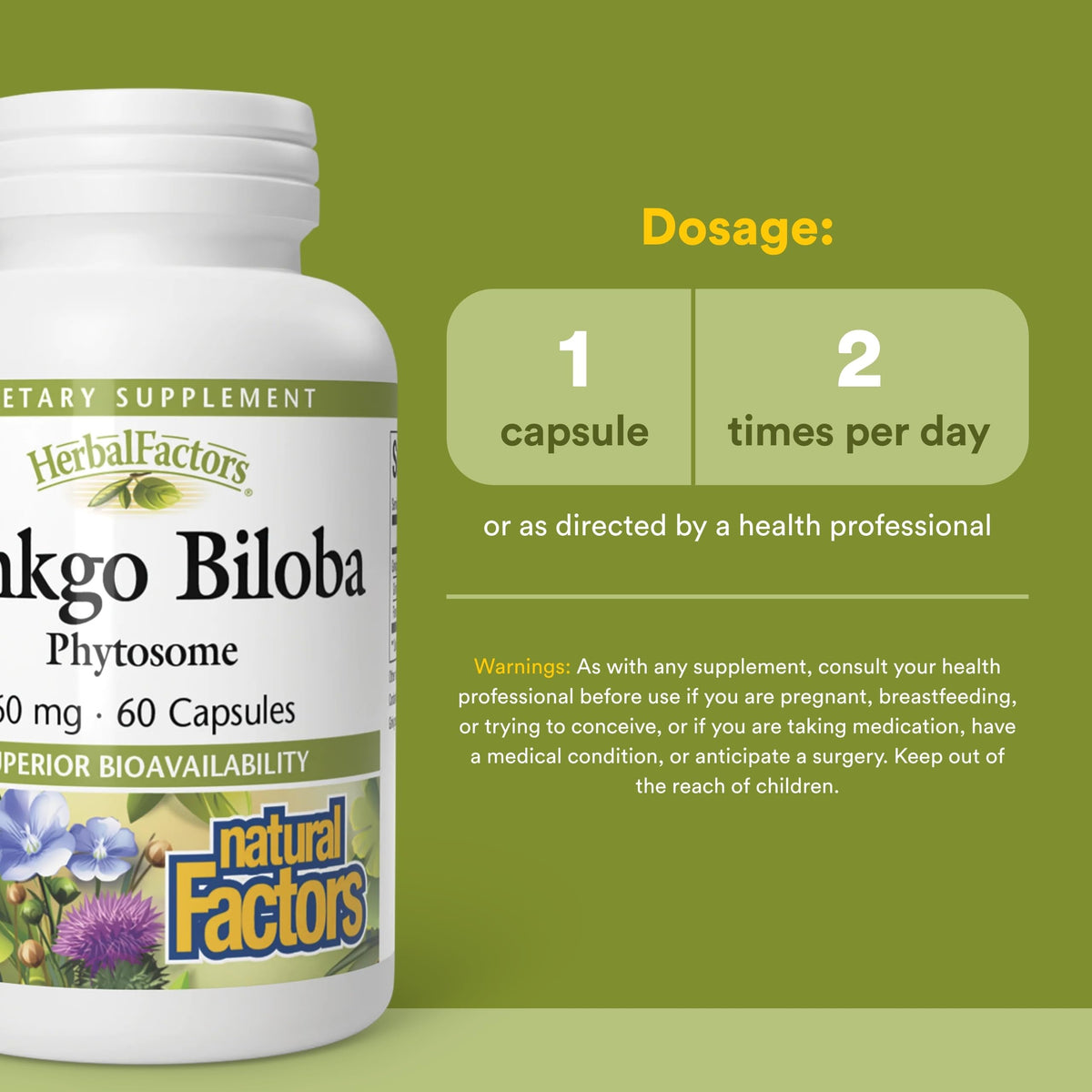 Natural Factors Ginkgo Biloba Phytosome Circulation Support - 60 Capsules - image 3