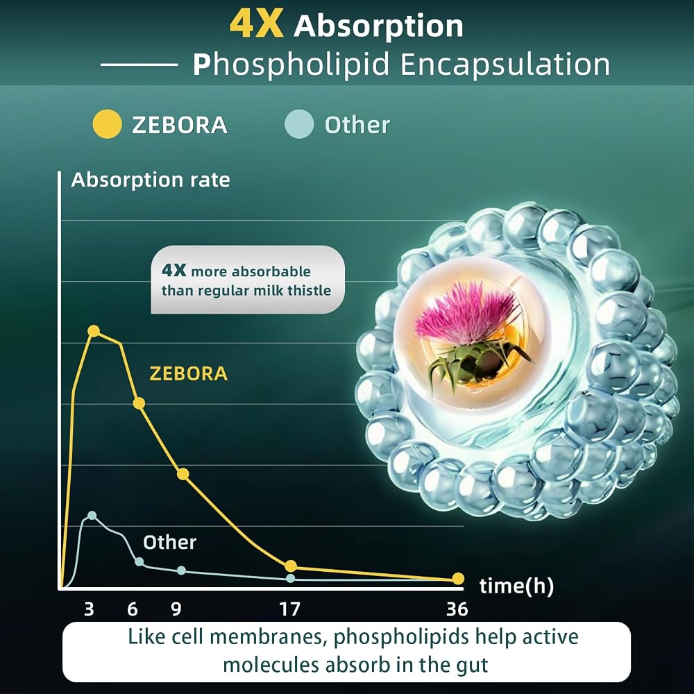 ZEBORA Milk Thistle Extract 30:1 Liver Support - 120 Capsules - image 4