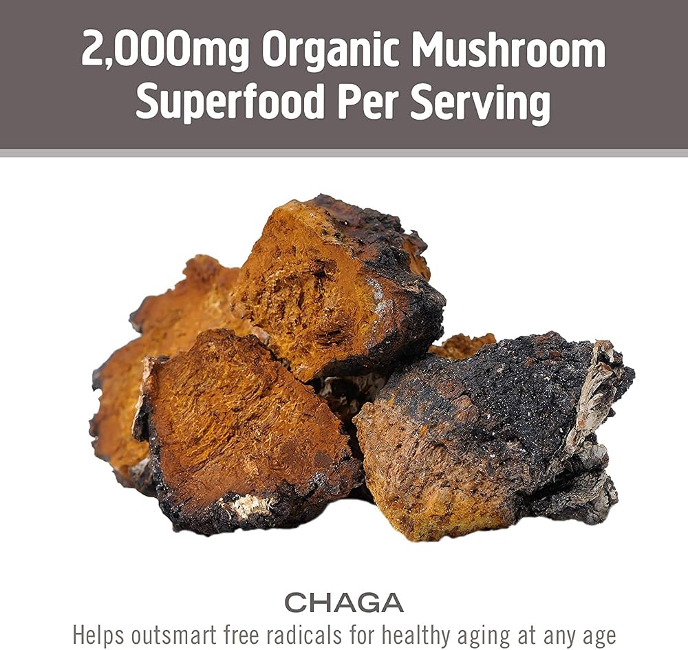 OM Mushroom Superfood Chaga Mushroom Capsules Immune Support - 90 Count - image 7