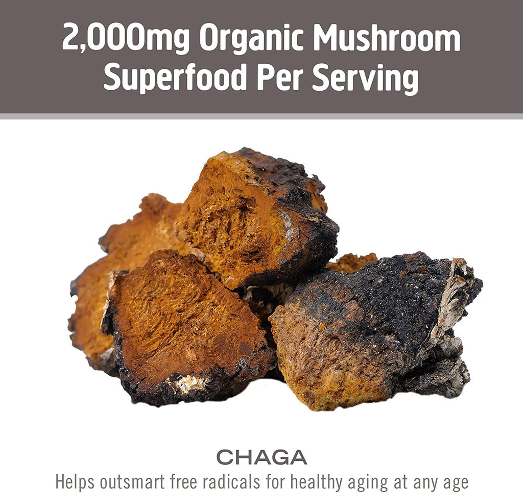 OM Mushroom Superfood Chaga Mushroom Capsules Immune Support - 90 Count - image 7