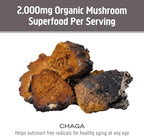 OM Mushroom Superfood Chaga Mushroom Capsules Immune Support - 90 Count - image 7