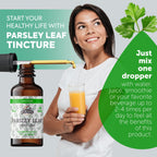 FLORIDA HERBS Parsley Leaf Tincture Alcohol-Free Extract - 2 Fl Oz - image 4