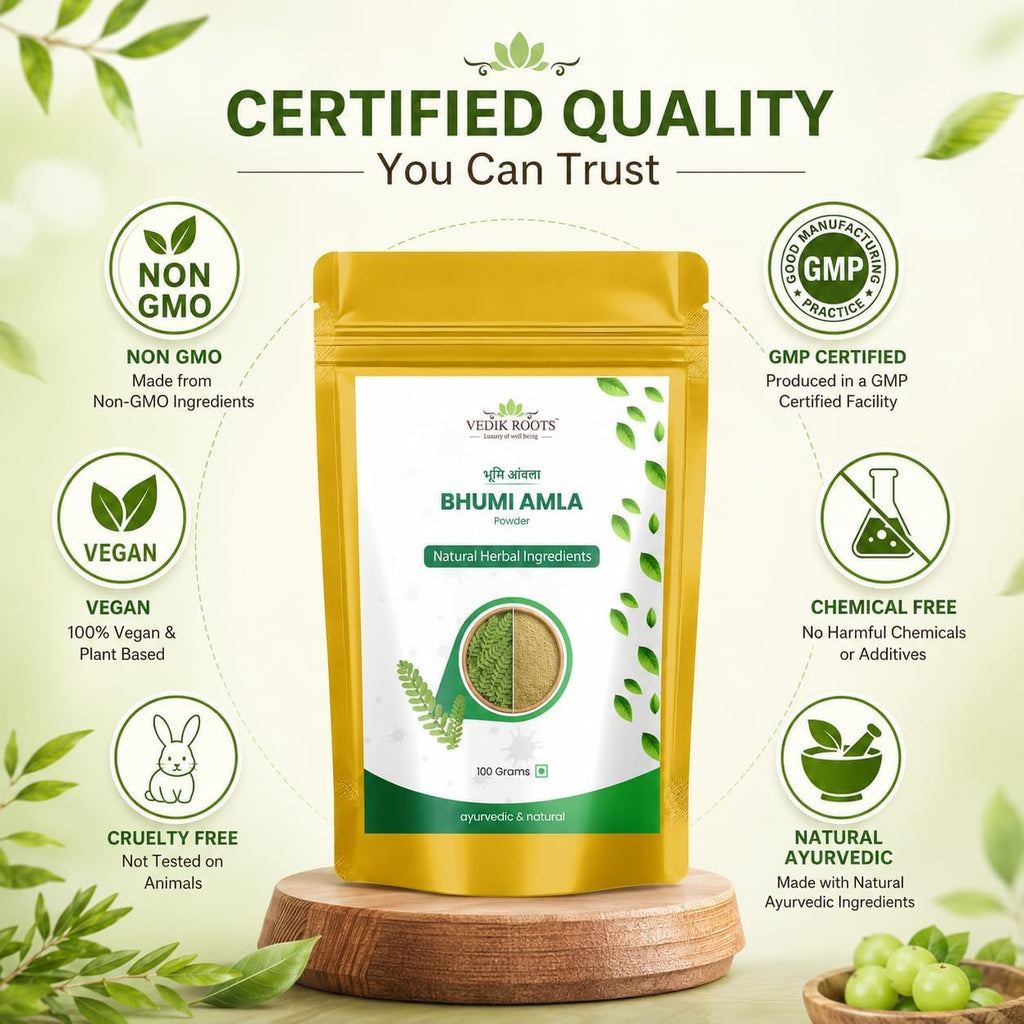 VEDIKROOTS Bhumi Amla Powder - 100g - image 9