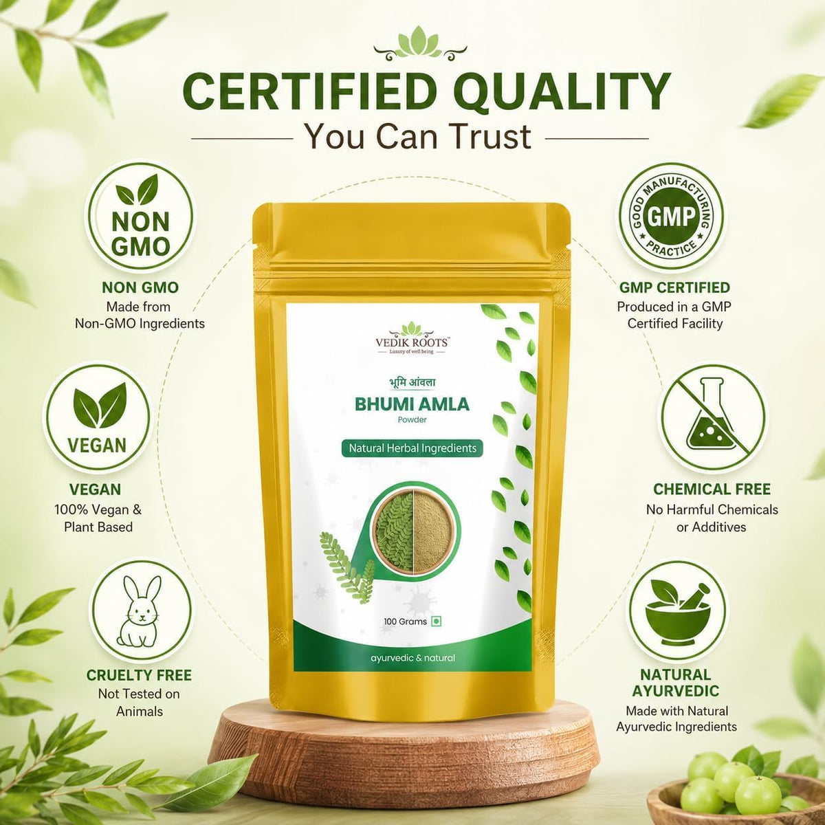 VEDIKROOTS Bhumi Amla Powder - 100g - image 9