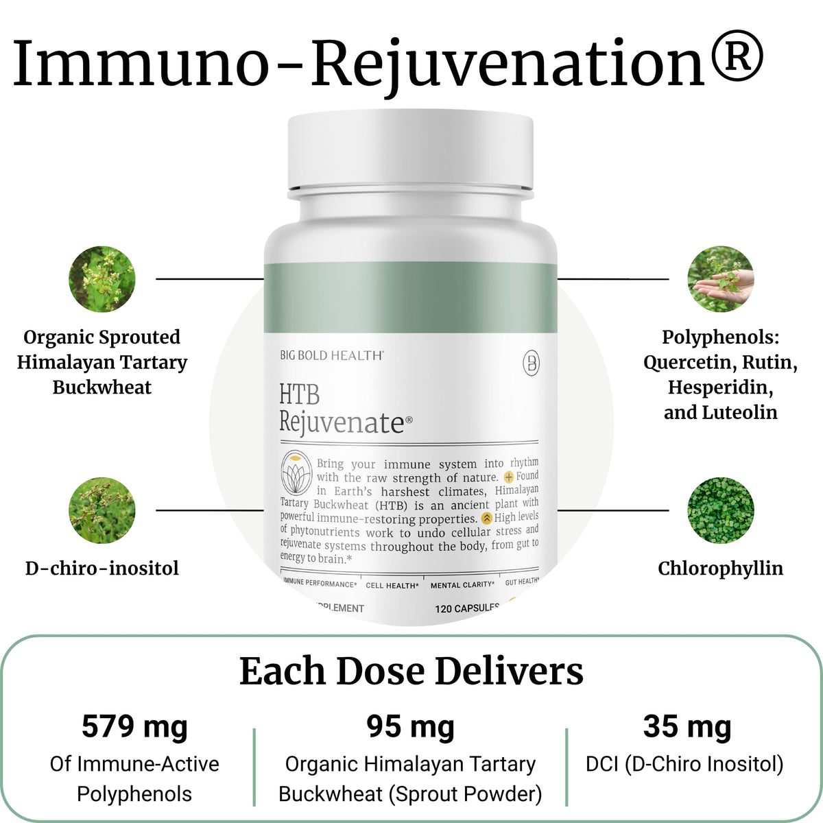 BIG BOLD HEALTH HTB Immune Rejuvenate Polyphenols - 120 Vegetarian Capsules - image 2