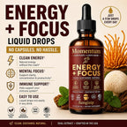 FUNGISIP Momentum Cordyceps & Lion's Mane Mushroom Tincture - 2 oz - image 2