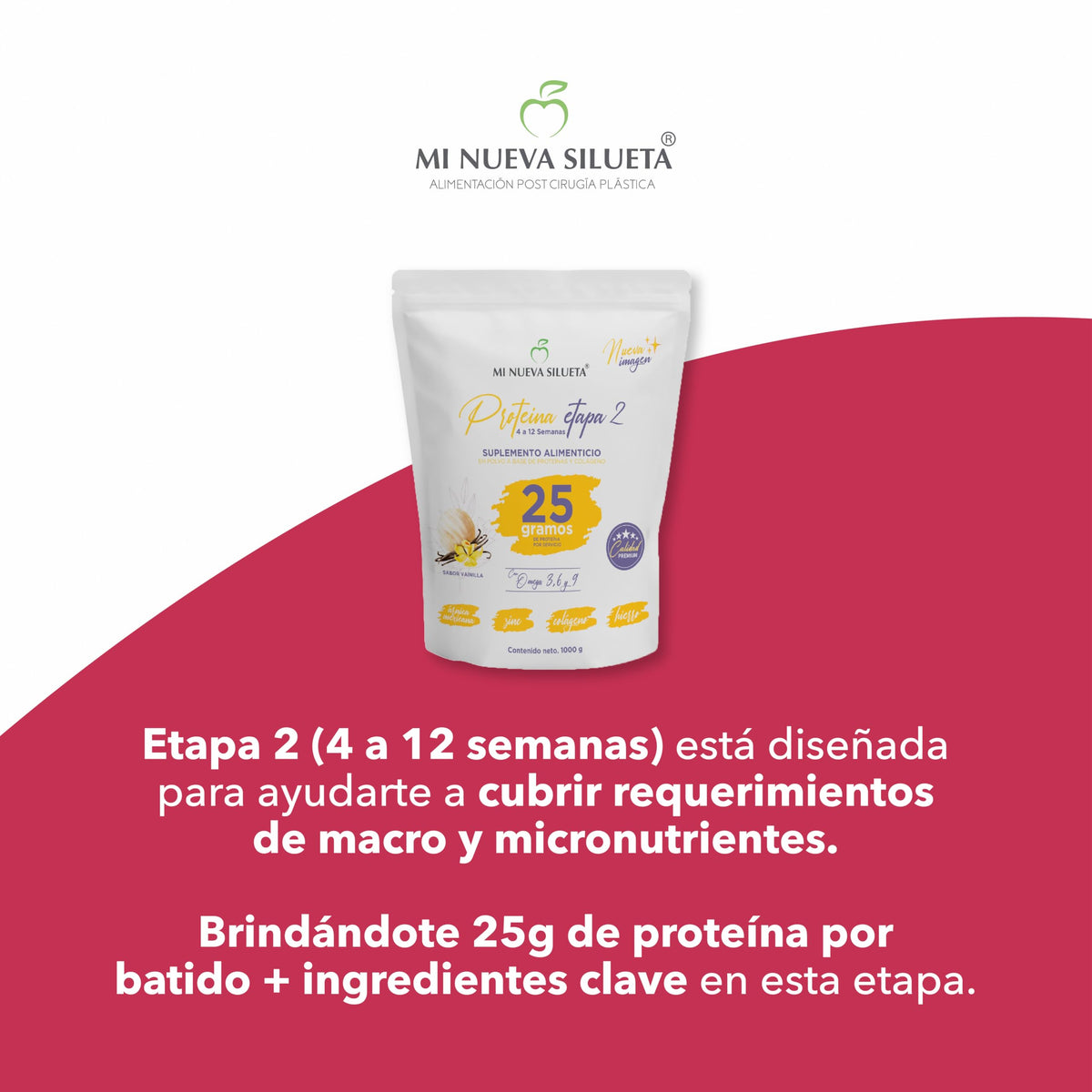 MI NUEVA SILUETA Helps Maintain BBL Protein My New Silhouette Stage 2