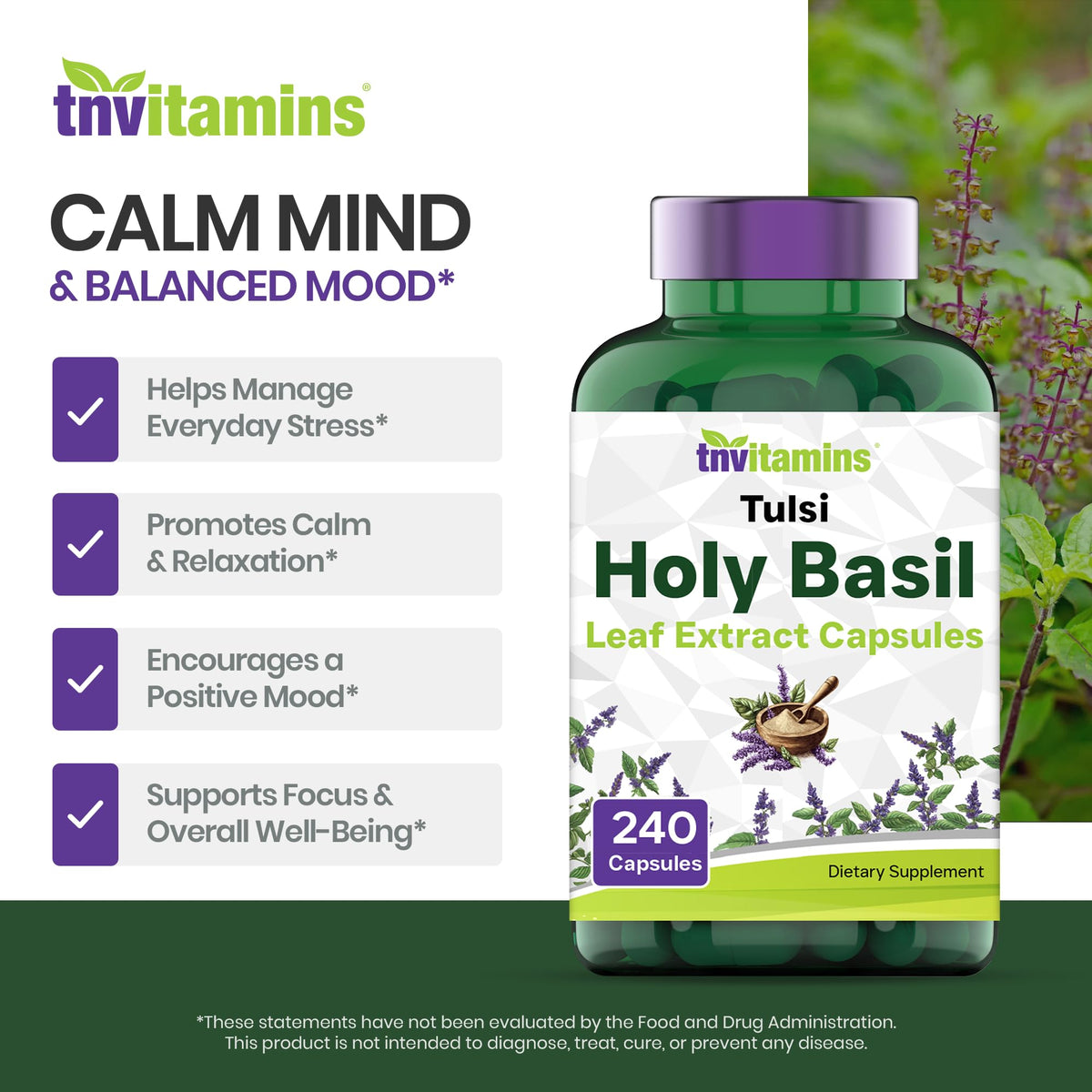 tnvitamins Holy Basil Capsules Adaptogenic Herb - 240 Count - image 4
