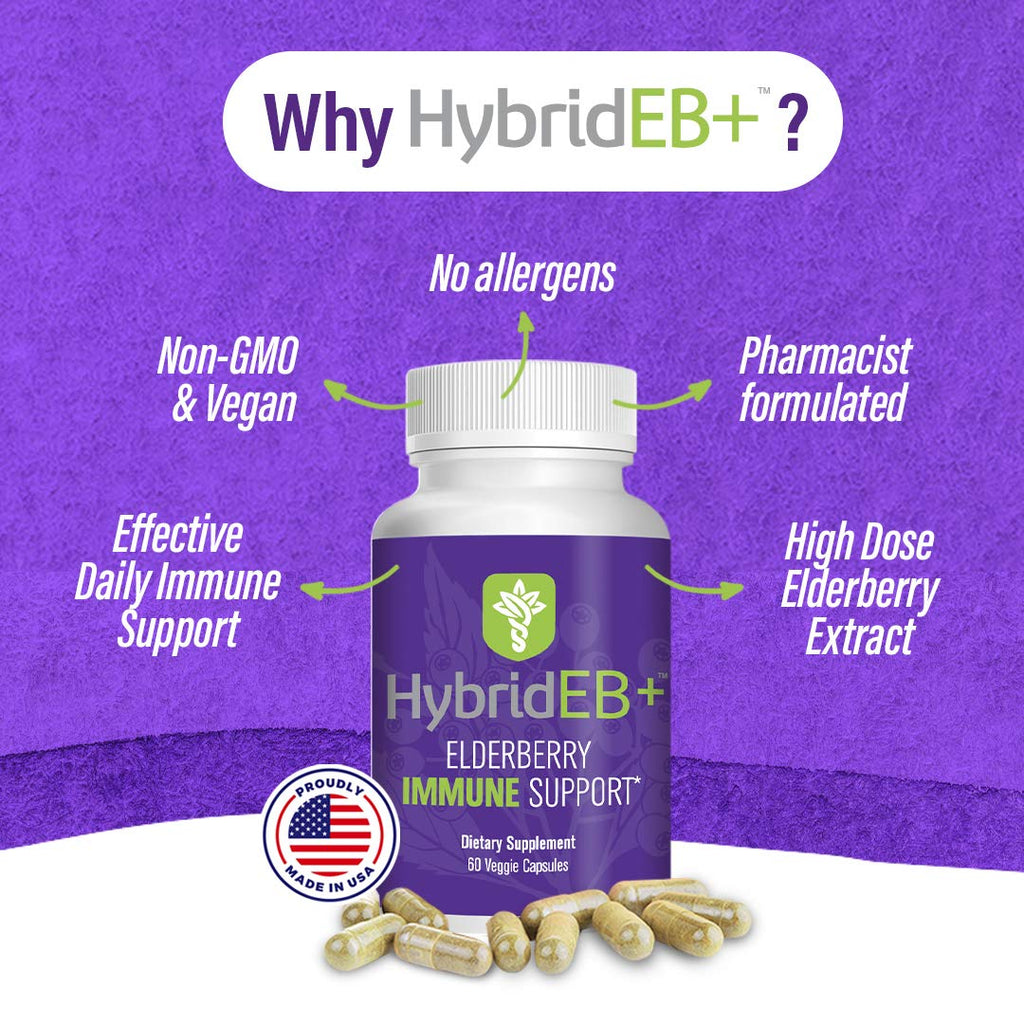 Hybrid Sambucus Elderberry Immune Support - 60 Vegetarian Capsules - image 2