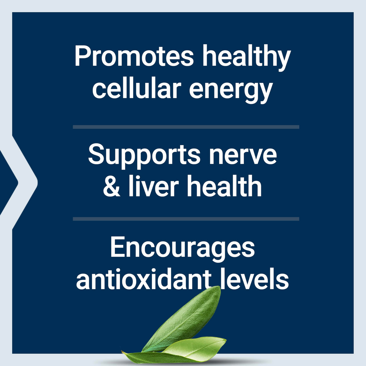 Life Extension Alpha-Lipoic Acid with Biotin - 60 Capsules - image 4