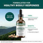 NutraMedix Cryptolepis Liquid Supplement for Immunity Support - 2 Fl Oz - image 2