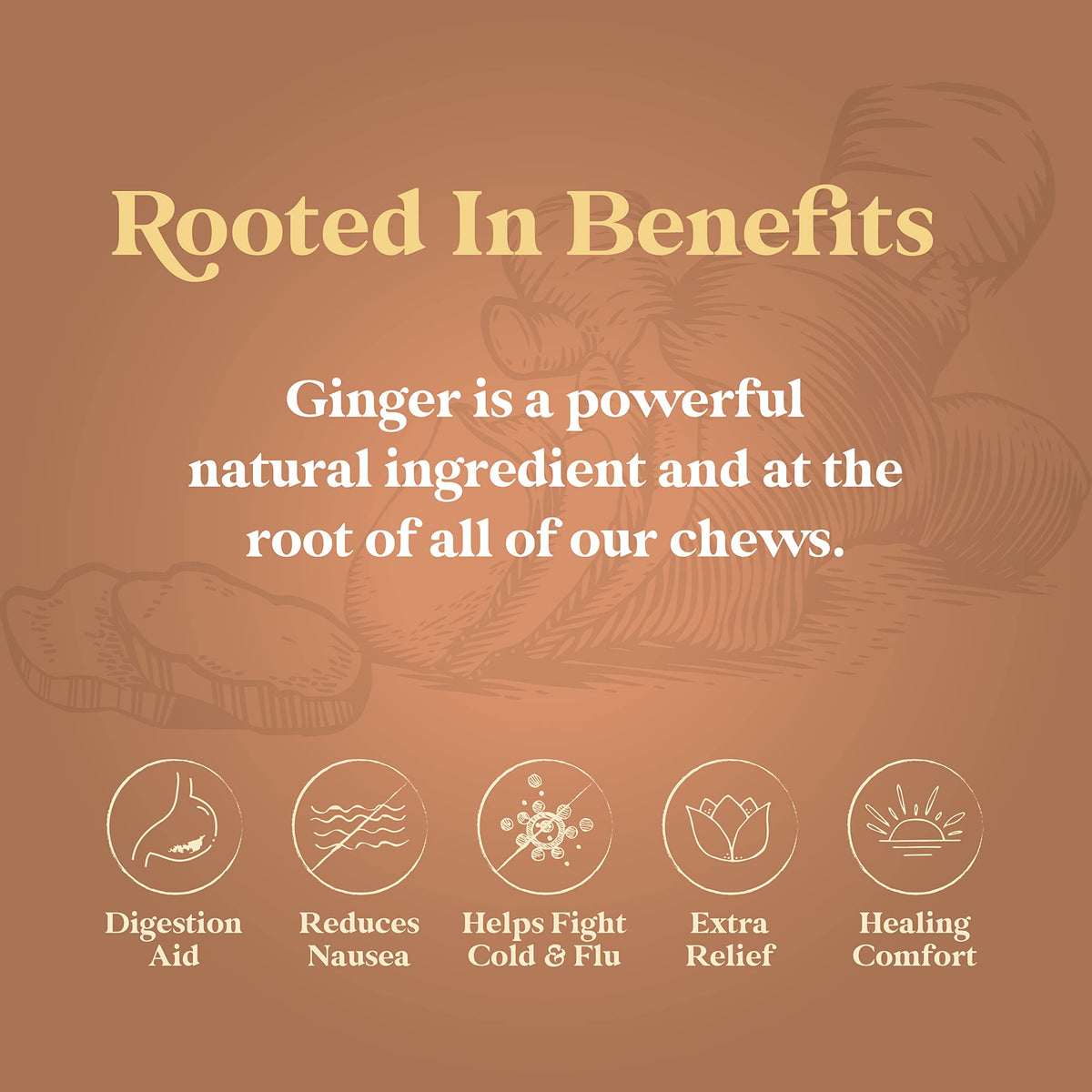 Chimes Mango Ginger Chews - 1 Pound Bag - image 4