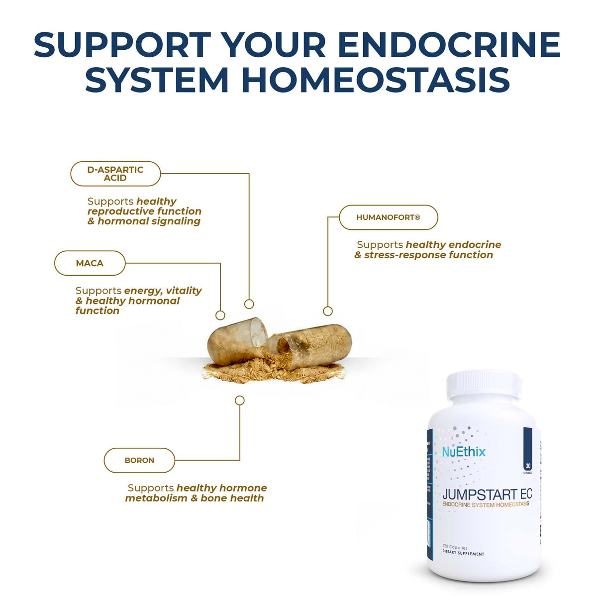 NuEthix Formulations Jumpstart EC Endocrine Support - 120 Capsules - image 3