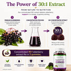 Natural BioScience Sambucus Elderberry Gummies with Vitamin C and Zinc - image 4