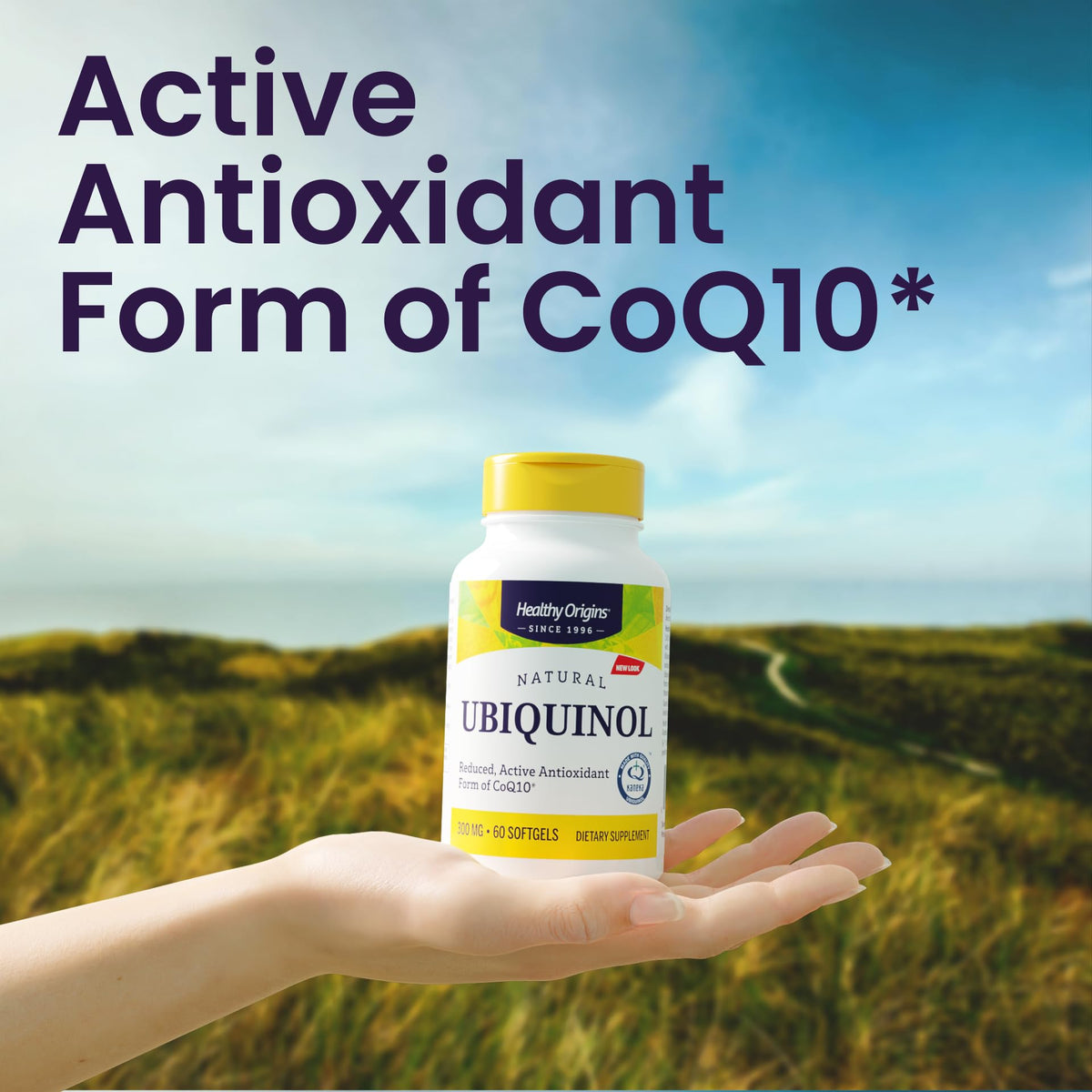Healthy Orgins Ubiquino