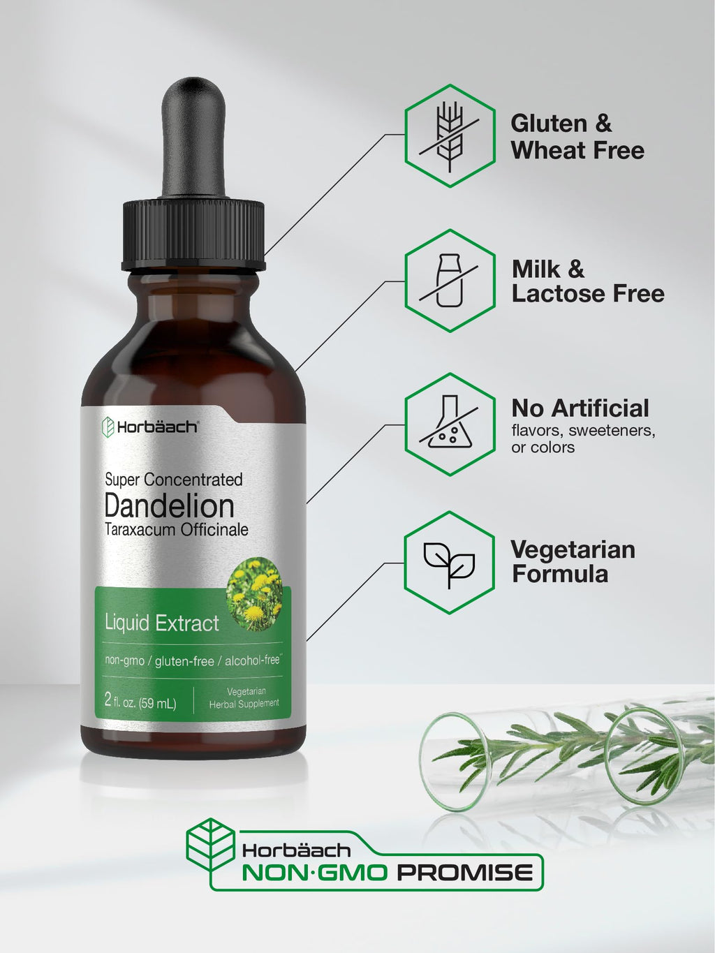Horbäach Dandelion Root Extract Supplement - 2 fl oz - image 4