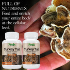 Parker Naturals Turkey Tail Mushroom Capsules - 120 Capsules - image 3