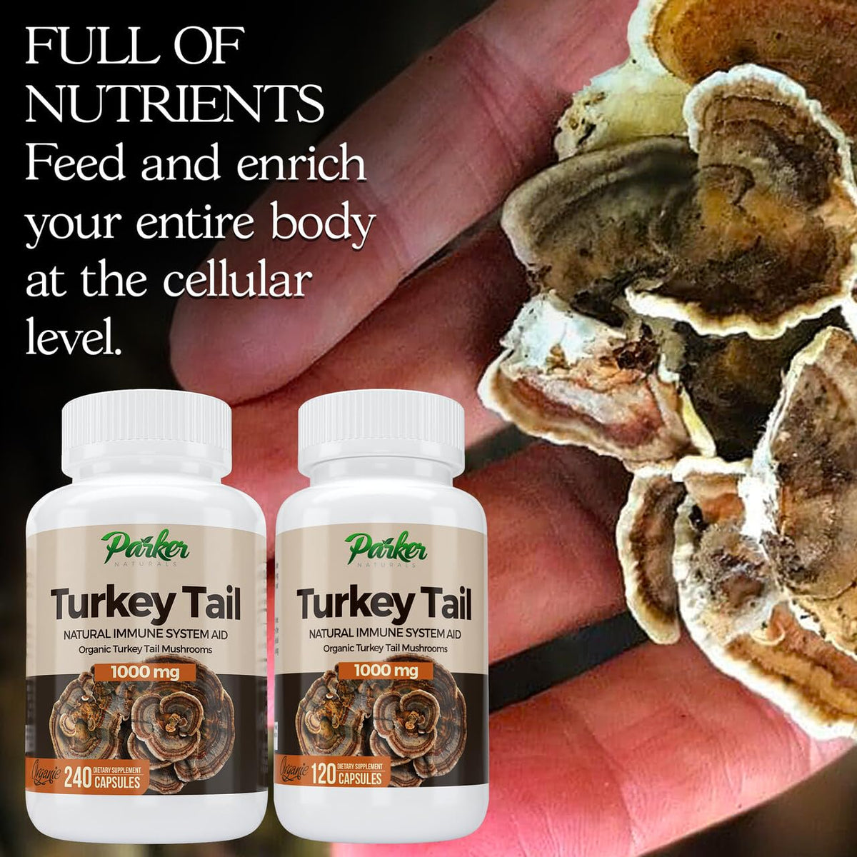 Parker Naturals Turkey Tail Mushroom Capsules - 120 Capsules - image 3