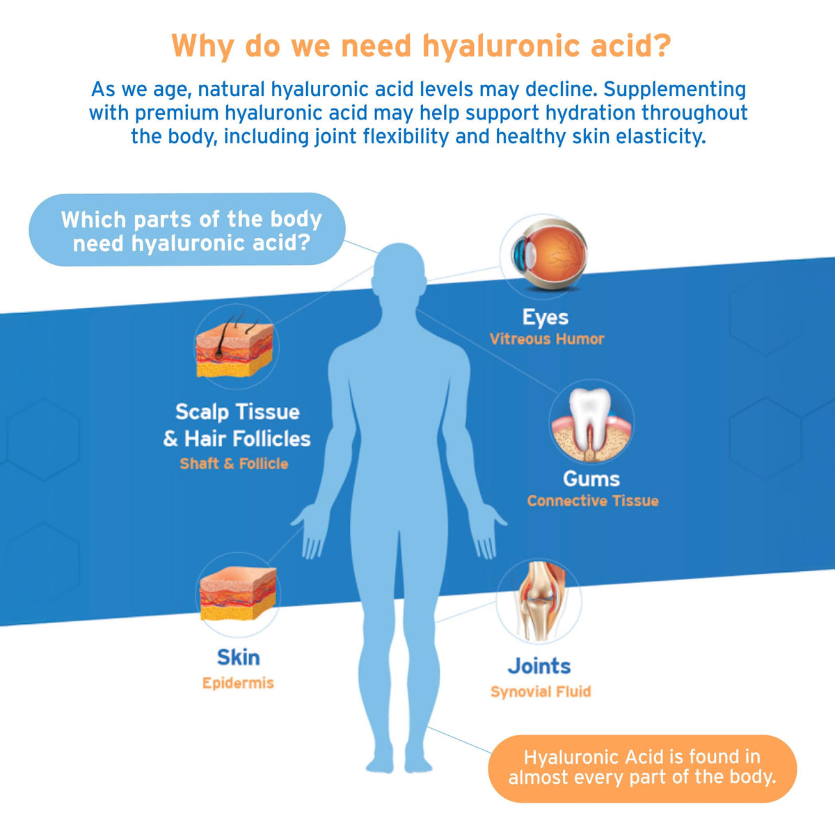 Hyalogic Synthovial Seven Hyaluronic Acid & Resveratrol Capsules - 1 oz - image 2
