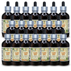 Herbal Terra LLC Cang Zhu, Atractylodes (Atractylis Lancea) Tincture